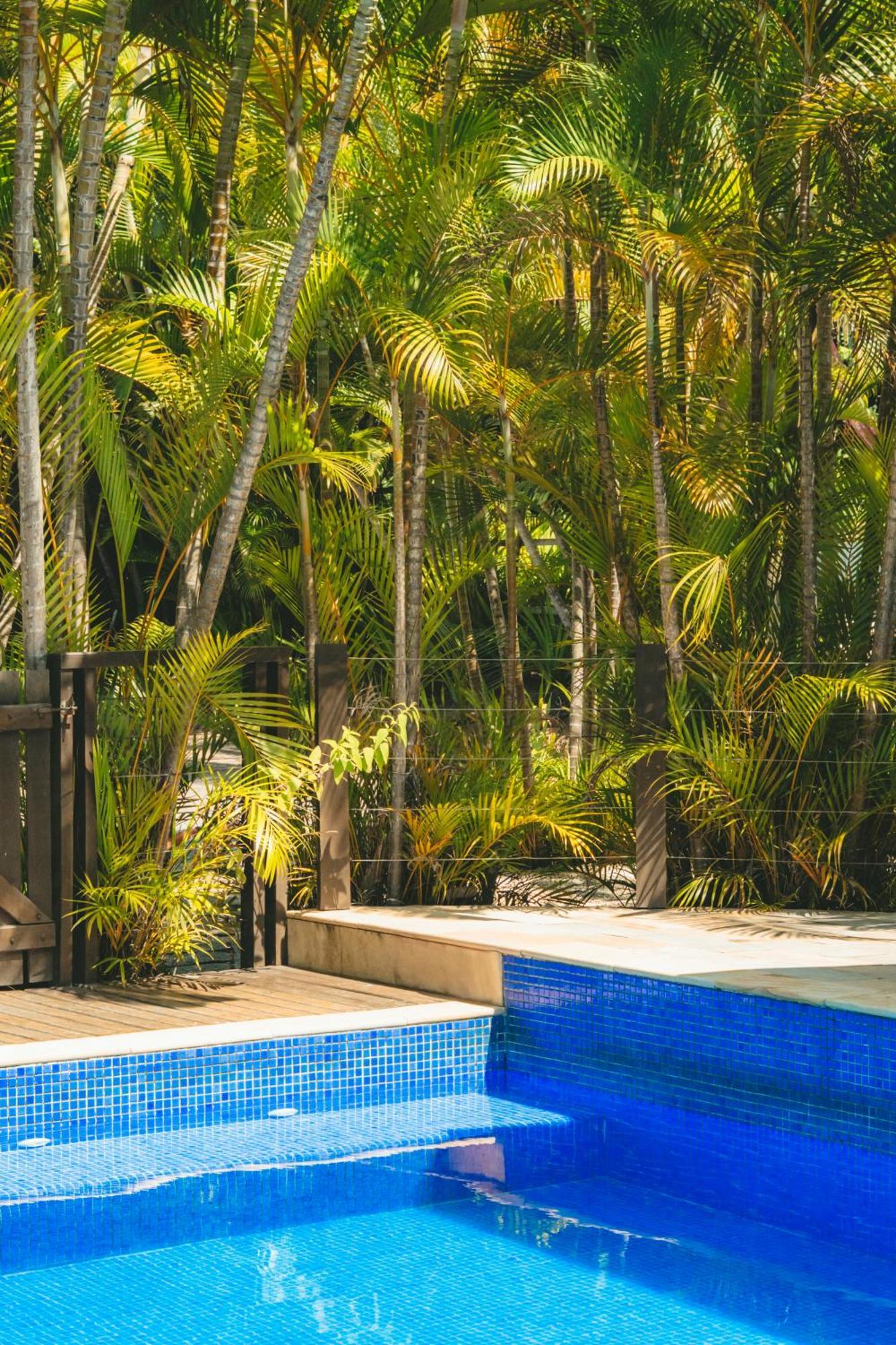 Florianópolis Pousada Vila Tamarindo Eco Lodge מראה חיצוני תמונה